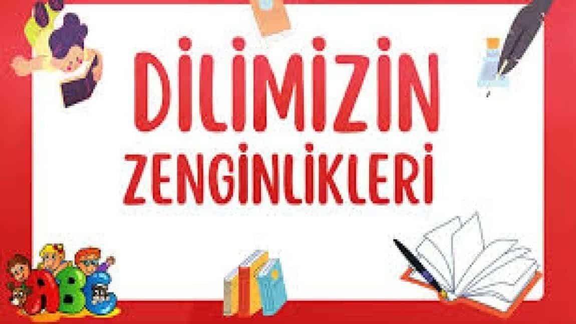 DİLİMİZİN ZENGİNLİKLERİ PROJESİ